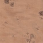 eup009-saumon Japonais European Taupe