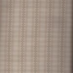 S230A Japonais Olympus épais fond beige clair